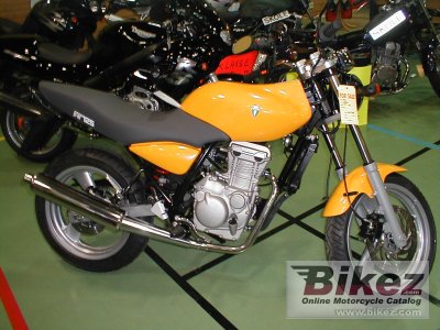 MZ RT 125 2001