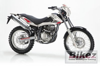 Beta Alp 4.0 2008