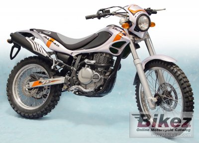 Beta Alp 4.0 2004