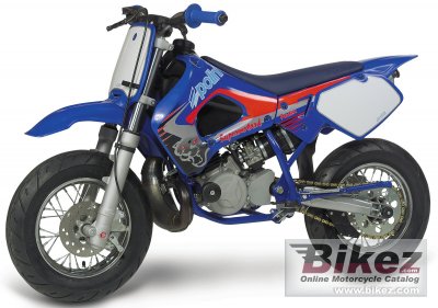 Polini Mini Supermotard 2004