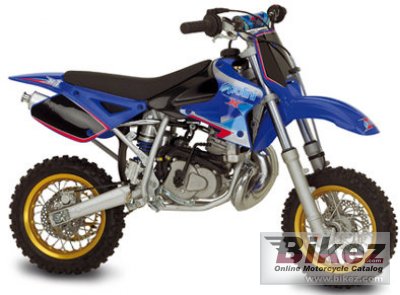 Polini Mini Supermotard 2005