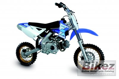 Polini XP 4T 110 2006