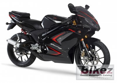 Rieju RS2 Pro 50 2008