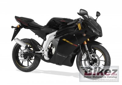 Rieju RS3 50   2011