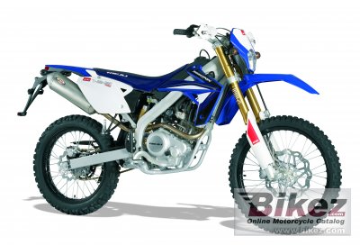 Rieju Marathon 125 PRO   2010