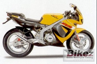Rieju RS-1 Evolution Racing 2003