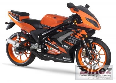 Rieju RS2 Pro Matrix 2006