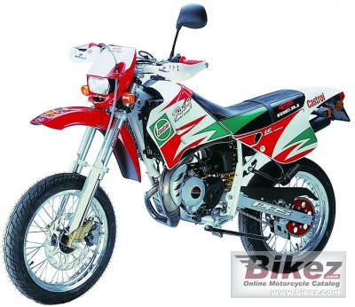 Rieju 50 Spike Racing Castrol Pro 2005