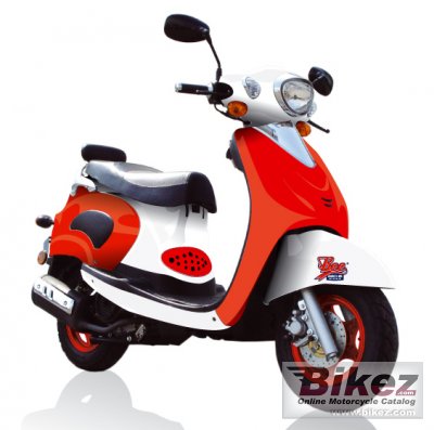 Sachs Bee 50 2007