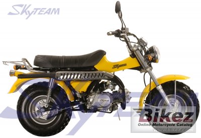 Skyteam T-Rex 125 2009