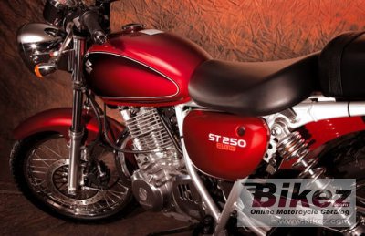 Suzuki ST 250 Etype 2008
