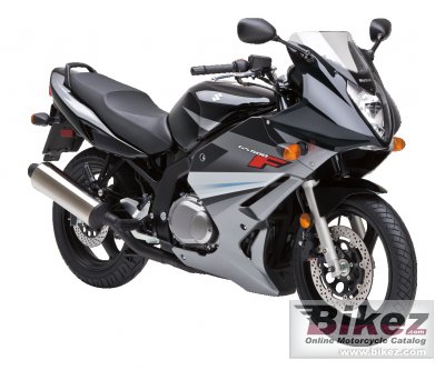 Suzuki GS500F 2011