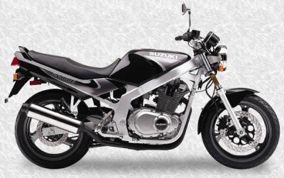 Suzuki GS 500 E (reduced effect) 1991
