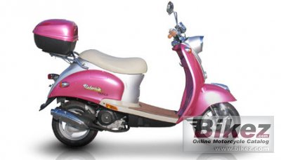 Tank Sports Urban Classic 50 2008