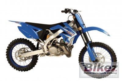 TM racing MX 300 2008