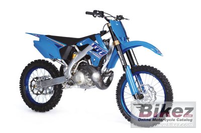 TM racing MX 300 2010