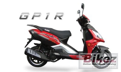 UM GP1-R 150 2010