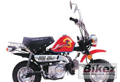 Veli KING50 2007