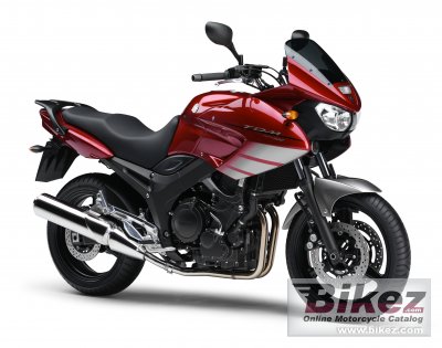 Yamaha TDM 900 2008