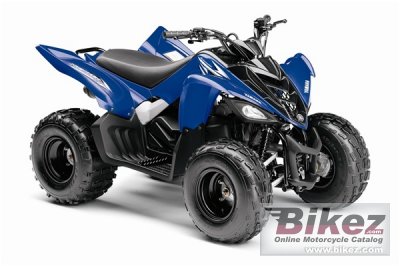 Yamaha Raptor 90 2009