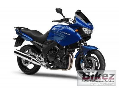 Yamaha TDM 900 2009