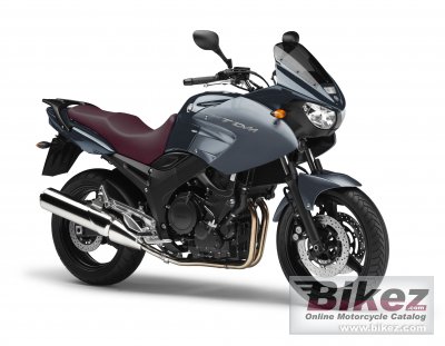 Yamaha TDM 900 2012