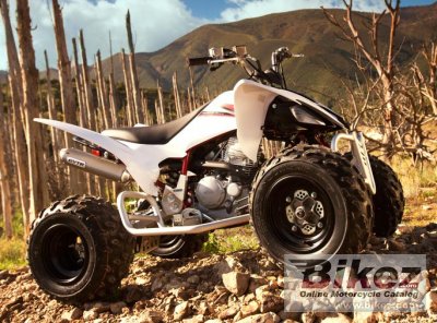 Yamaha YFM250R 2009