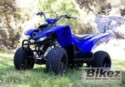 Yamaha YFM50 2009