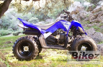 Yamaha YFM90 2009