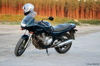 Yamaha XJ 600 S Diversion 1996