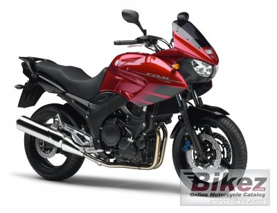 Yamaha TDM 900 2007