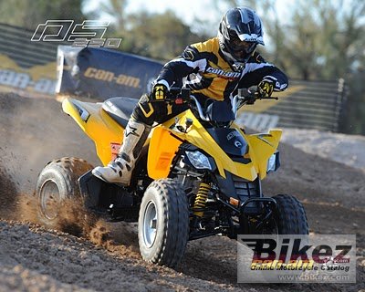 Can-Am DS 250 2009