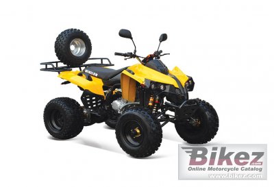 Mikilon A6-250SCN 2009