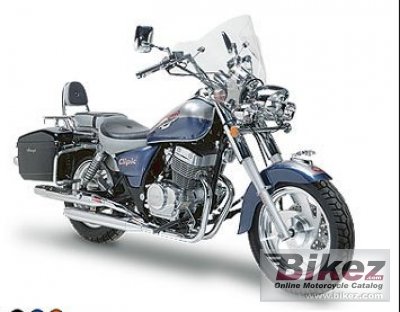 Clipic Custom Guepard 125 2008