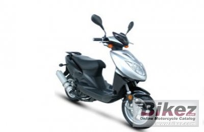 Giantco Filly 50 2009