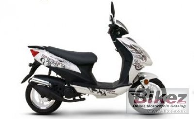 Giantco Spartan 50 2009