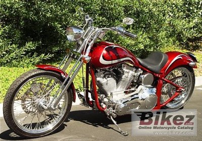 American Eagle Raven 2009
