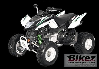 Arctic Cat 300 DVX 2009