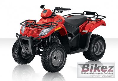 Arctic Cat 300 2010