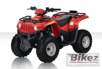 Arctic Cat 90 Youth 2010