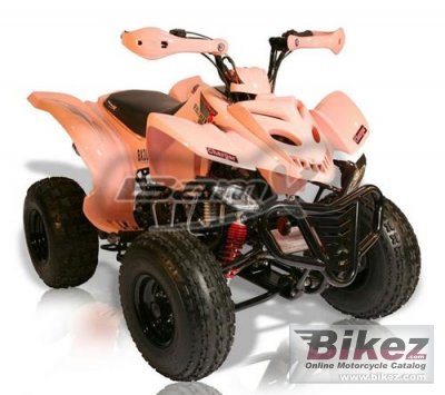 BamX BX200-S Charger 2010