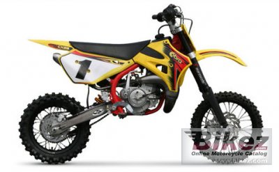 Cobra CX65 2011