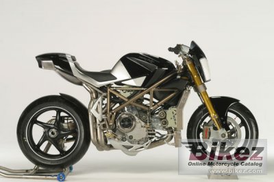 NCR Macchia Nera 2009