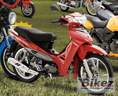 Dafra Zig Cub 100 2010