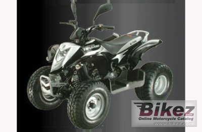 E-Ton Viper ST Exl-150 2010