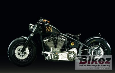 Headbanger Hollister 2010