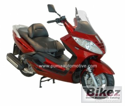 Puma Navona 250 2010