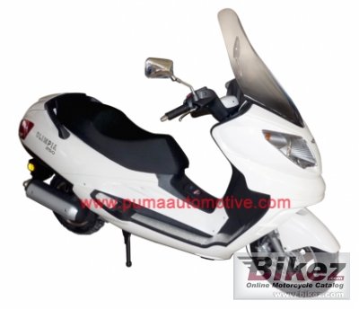 Puma Olimpia 250 2010