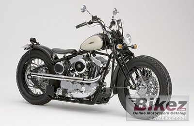 Road Hopper Type 2 2009