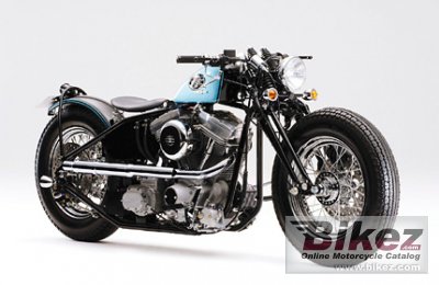 Road Hopper Type 5 2009